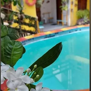 Porto Cajá Hotel Pôrto das Galinhas